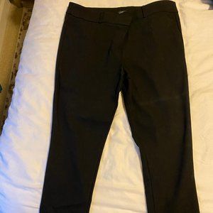 Loft Dress Pant